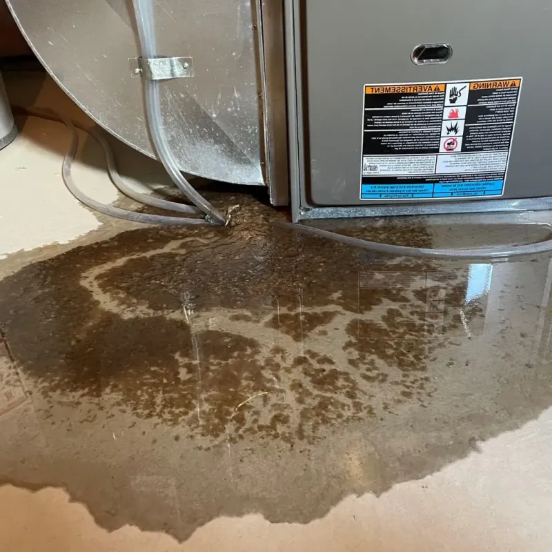 Pipe Burst and Leak Restoration in Pacific City, OR